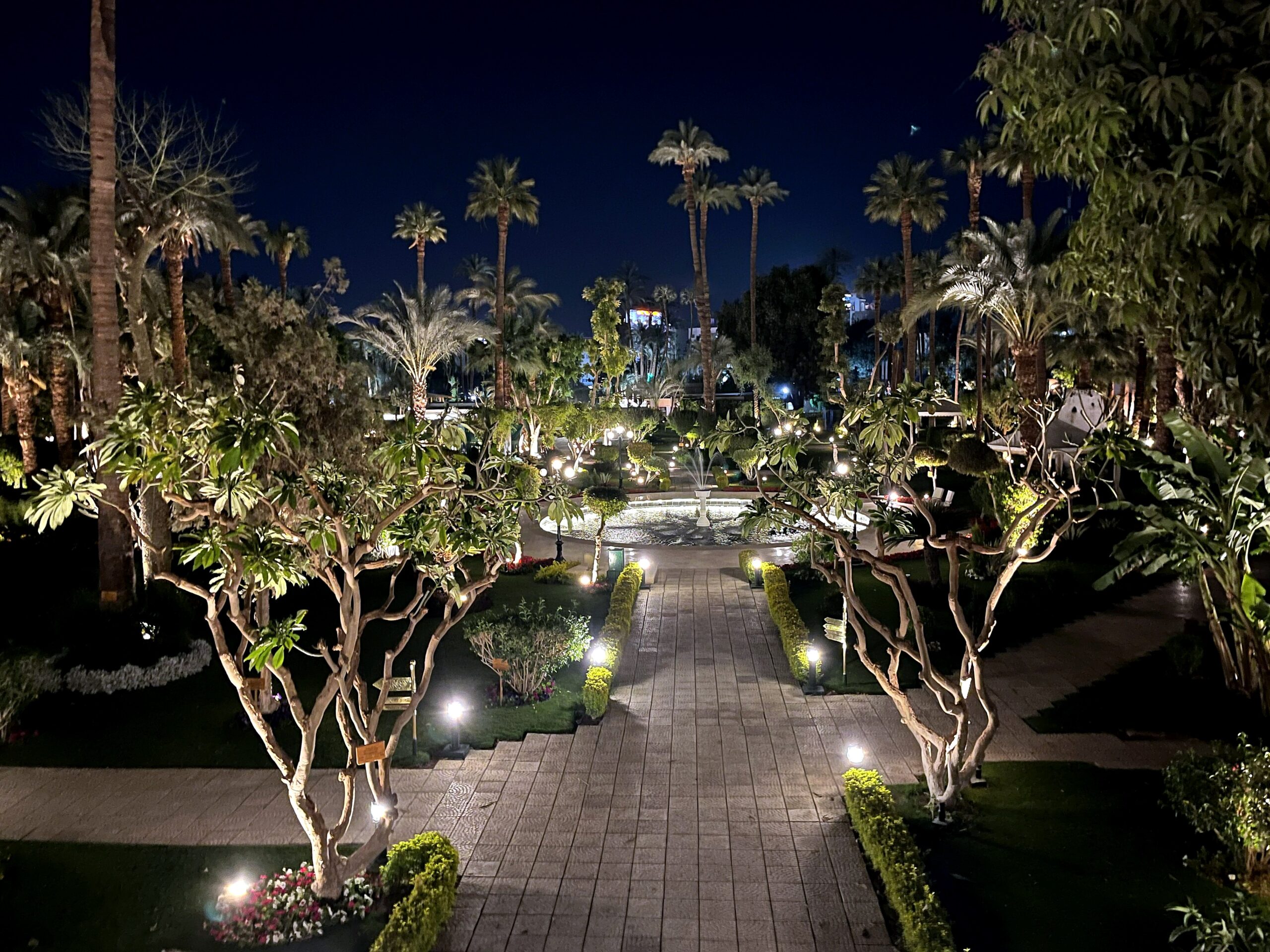 Garden view at night